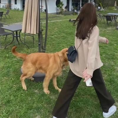 黑衣女孩